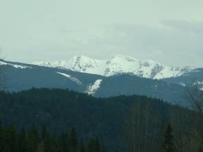 Mt. Shardelow, British Columiba, Canada