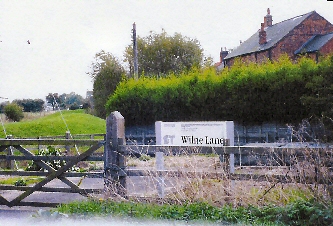 WilneLane